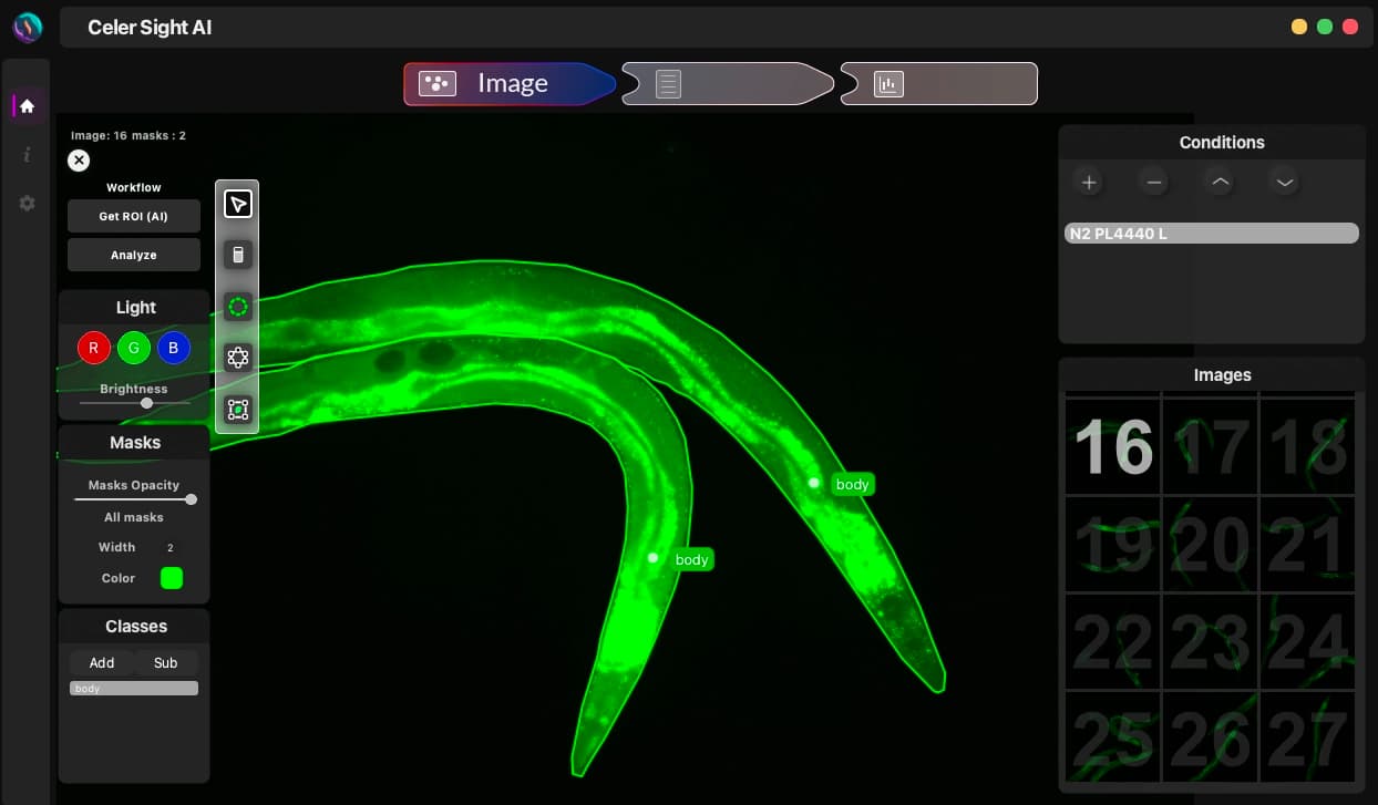 Celer sight interface